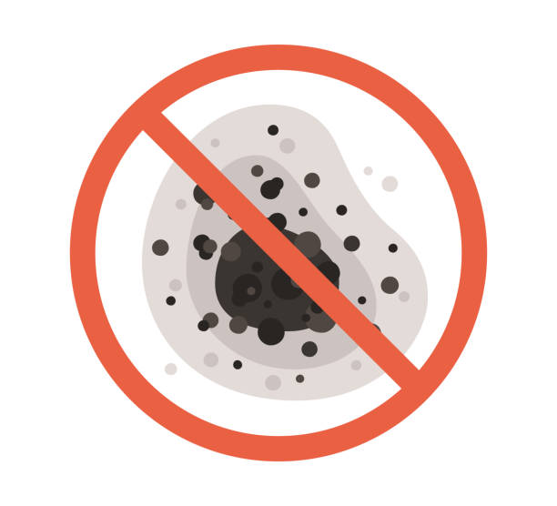 Best Emergency Mold Remediation  in Carpendale, WV