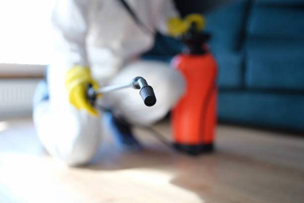Best Residential Mold Inspection & Testing  in Carpendale, WV