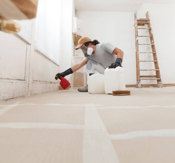 Best Commercial Mold Inspection  in Carpendale, WV
