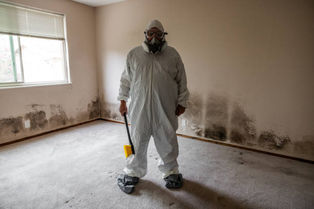 Best Mold Documentation for Insurance Claims  in Carpendale, WV